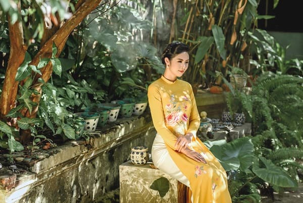 nàng dâu Việt 5