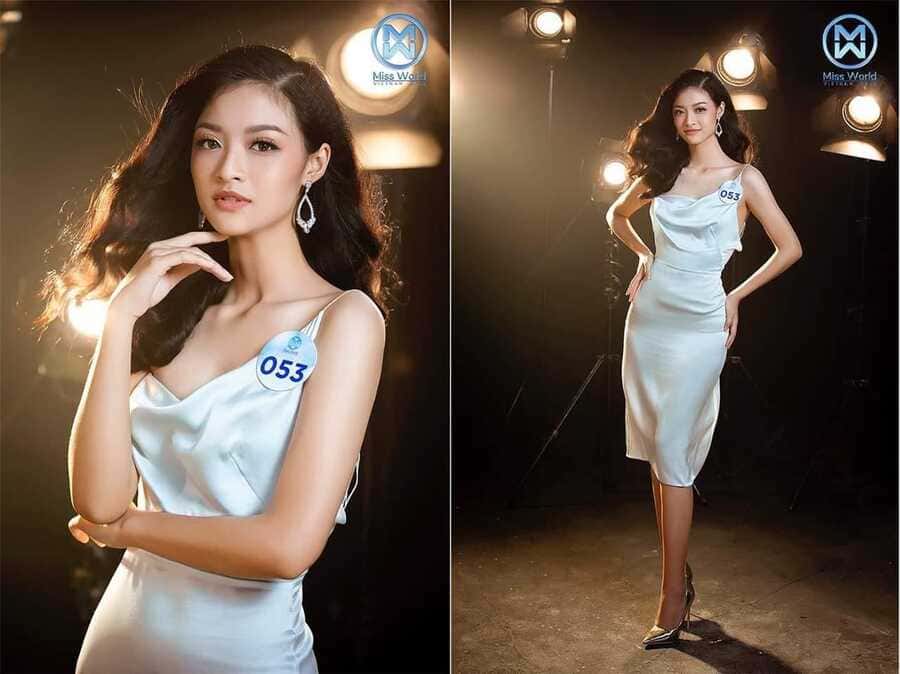 Dân mạng nhận xét nhan sắc Á hậu 1 Miss World VN 2019 giống cây hài Mạc Văn Khoa - 9