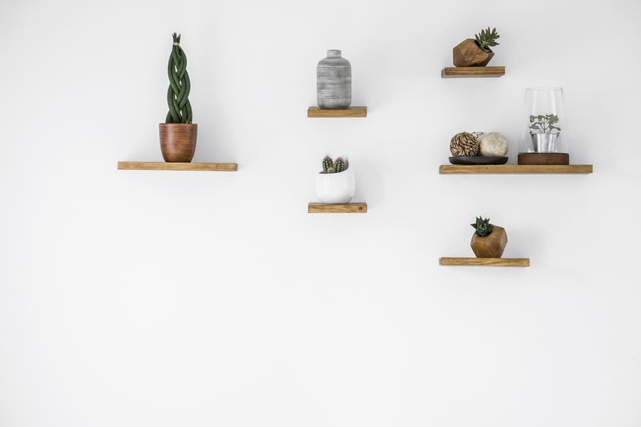 DIY plant shelves filled with cactus and succulents