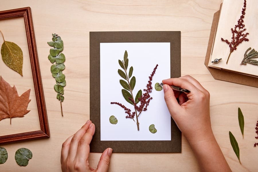 Woman making decoration with pressed flowers and leaves. Framing dried plants. Top view.