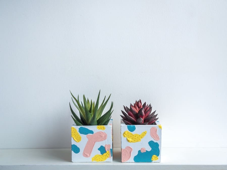 Cactus pot. Concrete pot. Two empty cute geometric concrete planters with succulent plants on white wooden shelf isolated on white wall background.