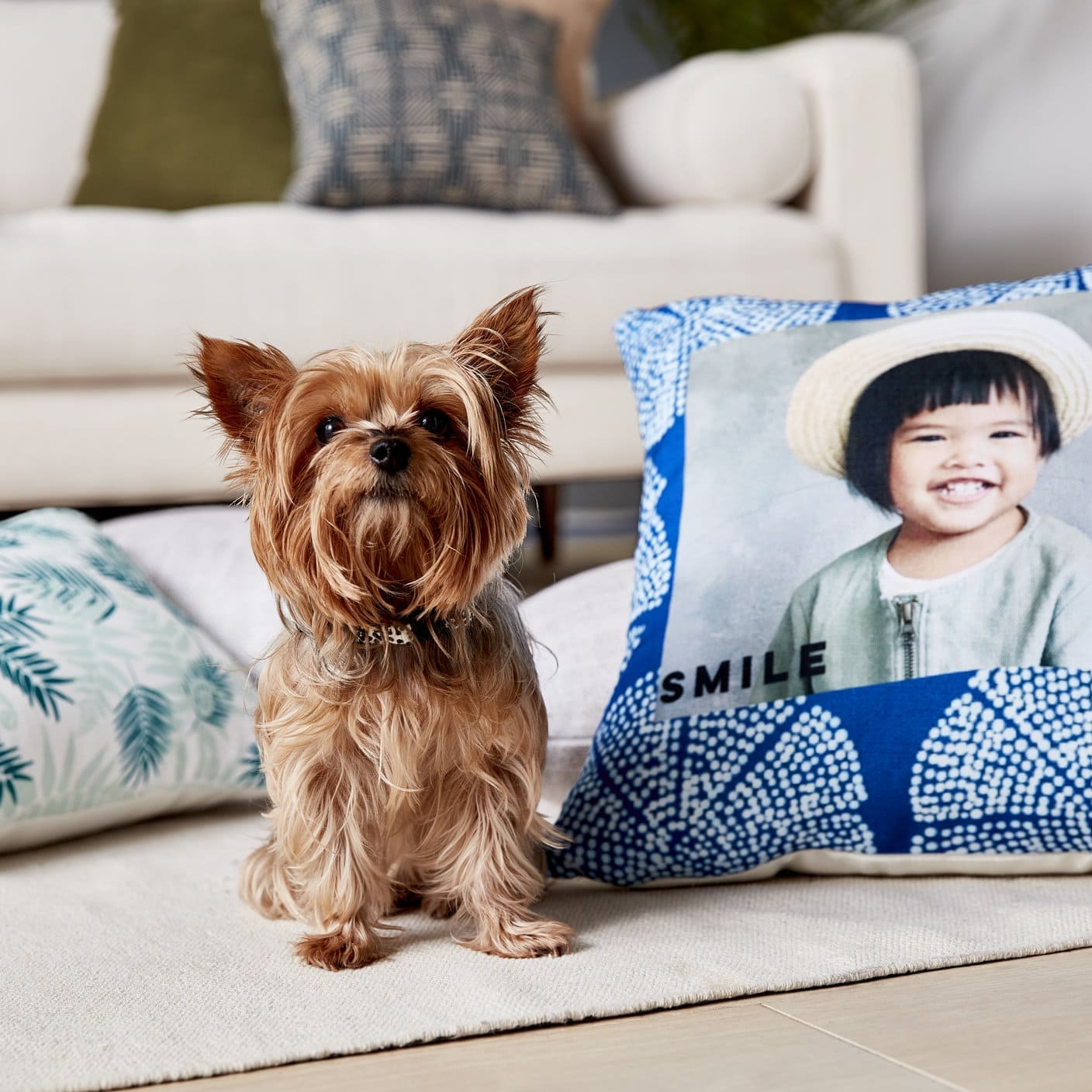 dog next to personalized pillow