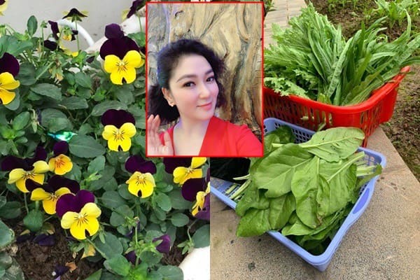 Ngược đời tăng liền 16kg, hoa hậu Nguyễn Thị Huyền vẫn được ca tụng hết lời